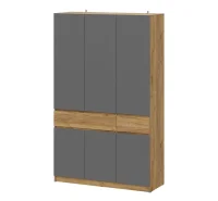 Шкаф трехстворчатый Авиньон дуб крафт золотой/графит