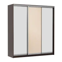 Шкаф-купе Мираж 20.1.1 венге/млечный дуб