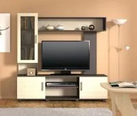 Гостиная Флокс венге/дуб белфорт