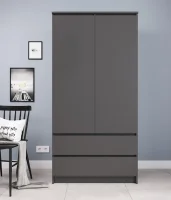 Шкаф двухдверный Мори МШ 900.1 графит