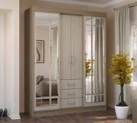 Шкаф-купе Маэстро ясень шимо темный/шимо светлый