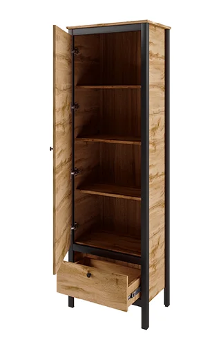 Шкаф Лофт REG1D1S дуб вотан/черный