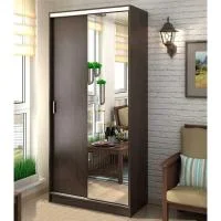 Шкаф-купе Альянс 1.0 венге