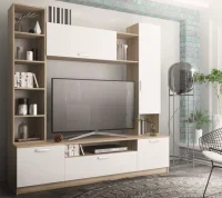 Гостиная Софи №4 СЦС 1900.1 дуб сонома/белый глянец