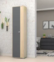 Шкаф ШК-01 Монако-2 дуб сонома/графит