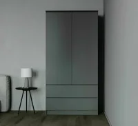 Шкаф два ящика и две дверки МШ 900.1 графит