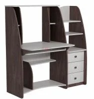 Стол компьютерный СК-1 ясень анкор темный/ясень анкор светлый