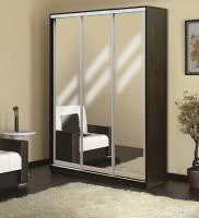 Шкаф-купе Мираж 20 венге