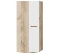 Шкаф угловой с 1-ой глухой дверью дуб делано/белый глянец Шкаф угловой с 1-ой глухой дверью дуб делано/белый глянец