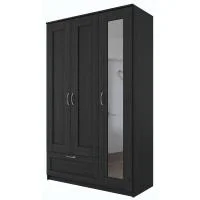 Шкаф комбинированный Сириус 3 двери и 1 ящик венге