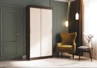 Шкаф-купе Андрей-Эконом (евро) венге/дуб белфорд