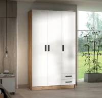 Шкаф Эконом дуб крафт золотой/белый