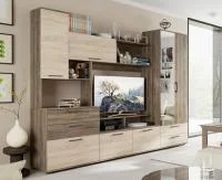 Модульная гостиная Марта дуб сонома/дуб сонома трюфель
