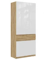 Шкаф Бостон ШК-001 дуб крафт золотой/белый глянец