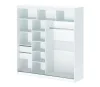 Шкаф-купе 2,0 арт. 007 белый