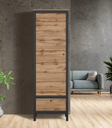 Шкаф Лофт REG1D1S дуб вотан/черный