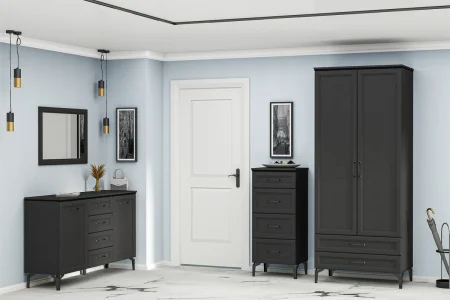 Шкаф Шарм ШК-2 антрацит/рамка