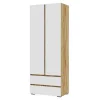 Шкаф 2-х створчатый Хелен ШК-01 дуб крафт золотой/белый