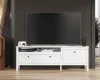 Тумба под телевизор Ева (Хельга) RTV1D1S белый