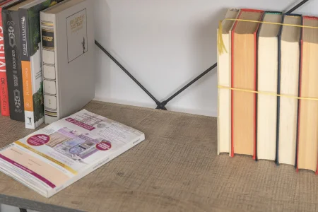 Стеллаж Трувор 13.151.01 дуб гранж песочный/интра