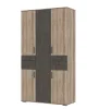Шкаф Соло-2 (Нельсон ШК-02) дуб каньон/железный камень