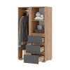Шкаф Хелен ШК-03 серый графит/дуб крафт золото