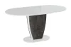 Стол обеденный Монреаль тип 1 белый глянец/моод темный