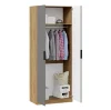 Шкаф для одежды Хилтон дуб крафт золотой/графит матовый
