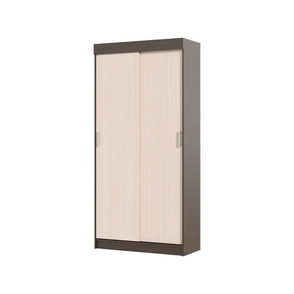 Шкаф-купе Андрей-Эконом (евро) венге/дуб белфорд