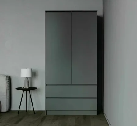 Шкаф два ящика и две дверки МШ 900.1 графит