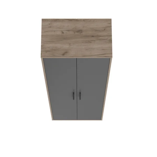 Шкаф для одежды Домино 2-3430 дуб крафт табачный/графит