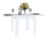 Обеденный стол СО-2 белый