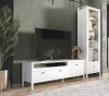 Тумба под телевизор Ева (Хельга) RTV1D1S белый
