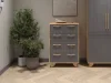 Комод Ньерд 700.5 дуб вотан/черника