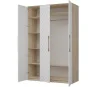 Шкаф 3-х створчатый Копенгаген дуб сонома/белый матовый
