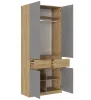 Шкаф Бостон ШК-001 дуб крафт золотой/серый шифер