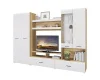 Гостиная Ненси-1 дуб крафт золотой/белый глянец
