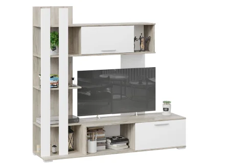 Стенка Колетта