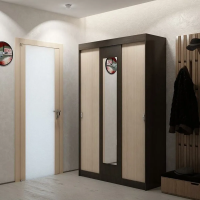 Шкаф-купе Мираж 11 венге/дуб млечный